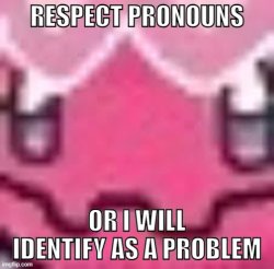 Respect pronouns Meme Template