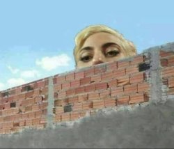 Lady Gaga behind a brick wall Meme Template