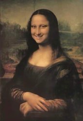 Smiling Mona Lisa Meme Template