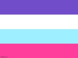 Multisexual flag Meme Template
