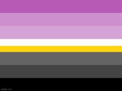 Monosexual flag Meme Template
