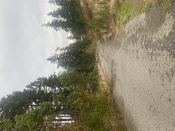 PNW mountain dirt road Meme Template