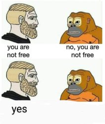 Freedom monkey Meme Template