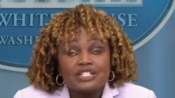 Karine Meme Template