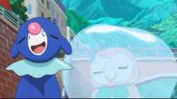 Popplio rowlet Meme Template