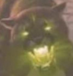 Tigerguy Meme Template