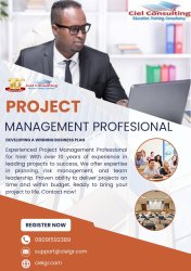 Project Management Professional Meme Template