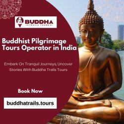 Buddhist Pilgrimage tours operator in India Meme Template