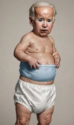 Biden Diaper Meme Template