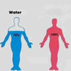 70% WATER AND OTHER Meme Template