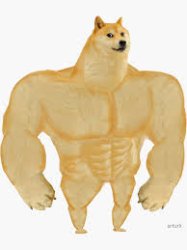 buff doge Meme Template