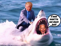 Trump rides shark that ate Biden Meme Template