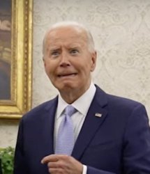 Biden Meme Template