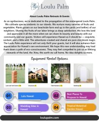 Lulu Hawaii Meme Template