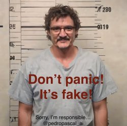 Pedro Pascal arrested? Meme Template