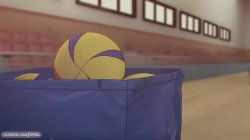 Volleyball Meme Template