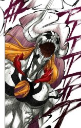 Vasto Lorde Ichigo Meme Template