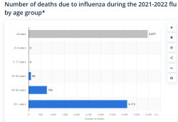US Flu deaths 2021-2022 by age group Meme Template