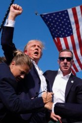 Trump Wins Meme Template