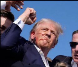 Trump shot Meme Template