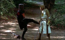 It's just a flesh wound Meme Template