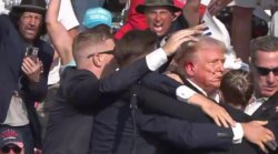 Trump Attempt Meme Template