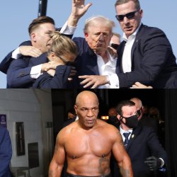 Trump vs. Tyson Meme Template