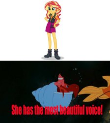 the crab thinks who had a beautiful voice Meme Template