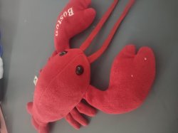 Lobster plushie Meme Template