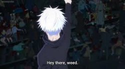 Hey there weed Meme Template