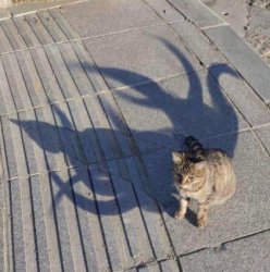 elder cat god Meme Template