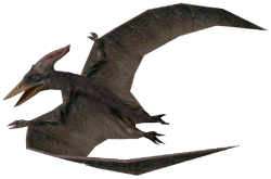 Pteranodon (FMM UV-32) Meme Template