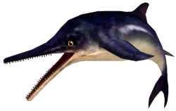 Ichthyosaurus (FMM UV-32) Meme Template