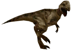 Pachycephalosaurus 2 (FMM UV-32) Meme Template