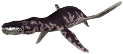 Liopleurodon (FMM UV-32) Meme Template