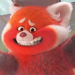 Red Panda Mei Lee Meme Template