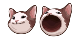 Bro cat Meme Template