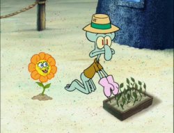 Spongebob Flower Meme Template