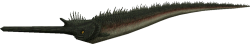 Babelichthys (FMM UV-32) Meme Template