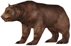 Cave Bear (FMM UV-32) Meme Template