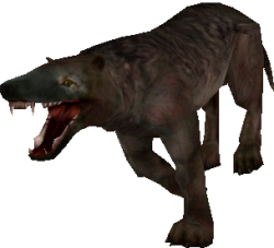 Hyaenodon (FMM UV-32) Meme Template