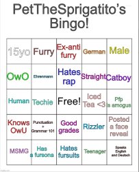 PetTheSprigatito’s bingo! Meme Template