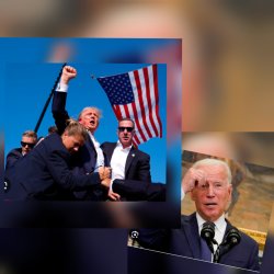 Bulletproof Meme Template
