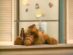 Drunk Alf Meme Template