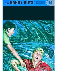 Hardy Boys Meme Template