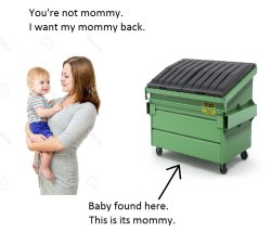 Baby in Dumpster News Meme Template