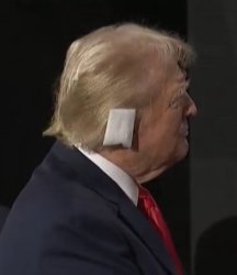 trump ear Meme Template