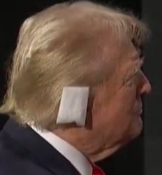 trump ear Meme Template