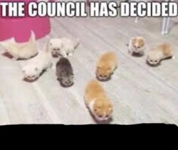 The council has decided Meme Template