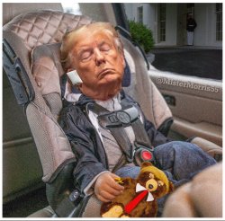 Sleepy Trumpy Meme Template